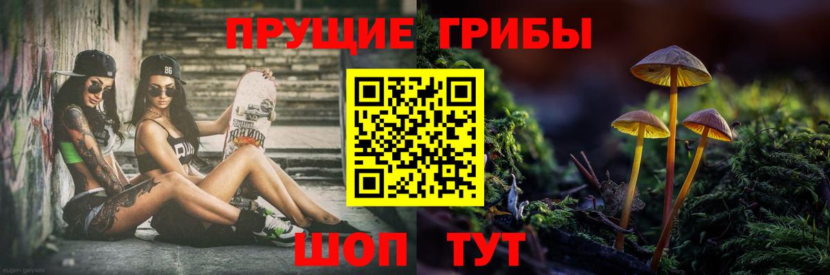 Галлюциногенные грибы Psilocybine cubensis  где купить наркоту  Светлоград  Вход с VPN 